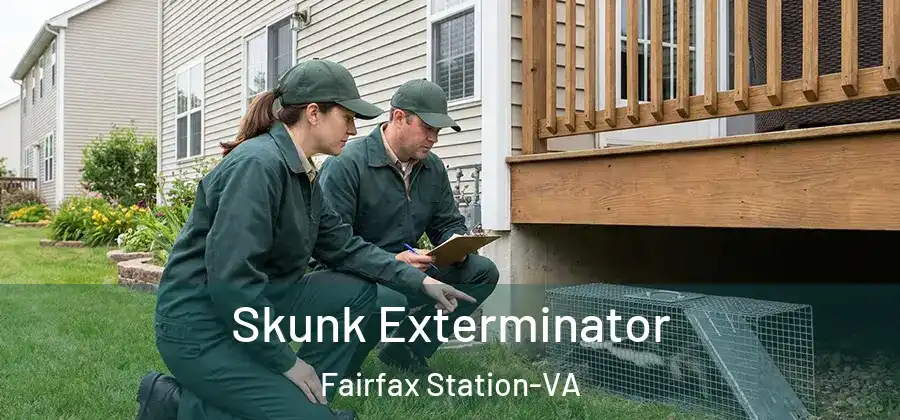 Skunk Exterminator Fairfax Station-VA