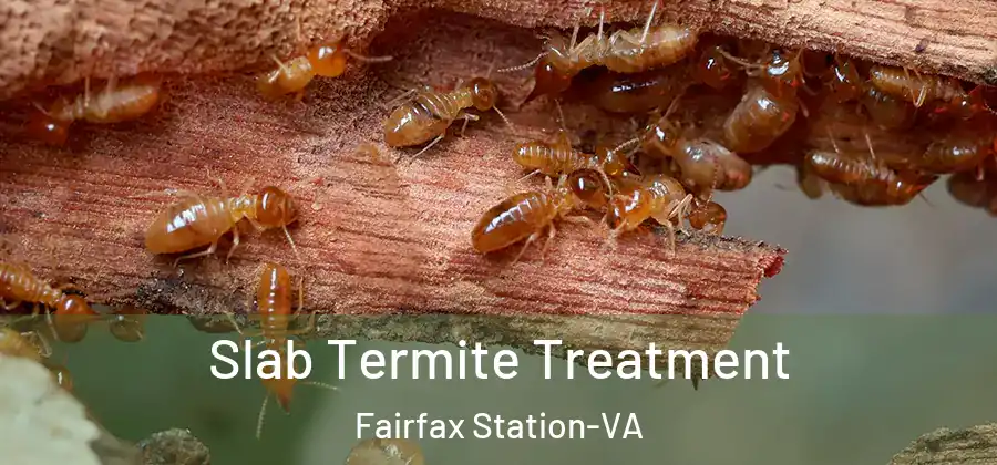 Slab Termite Treatment Fairfax Station-VA