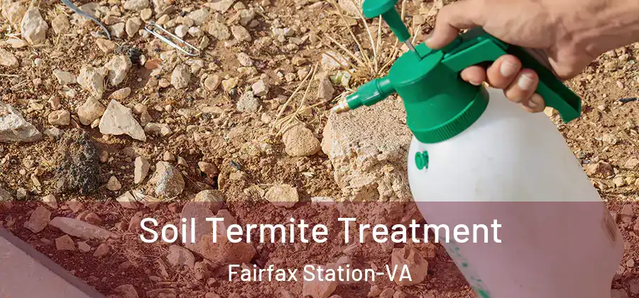 Soil Termite Treatment Fairfax Station-VA