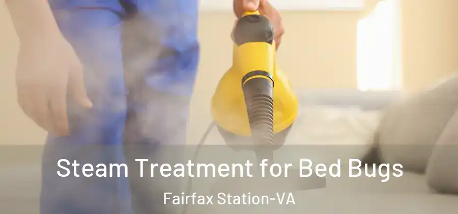 Steam Treatment for Bed Bugs Fairfax Station-VA