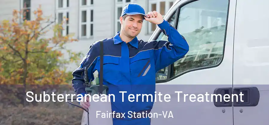 Subterranean Termite Treatment Fairfax Station-VA