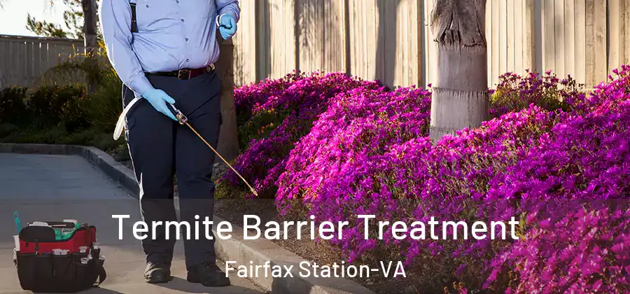 Termite Barrier Treatment Fairfax Station-VA