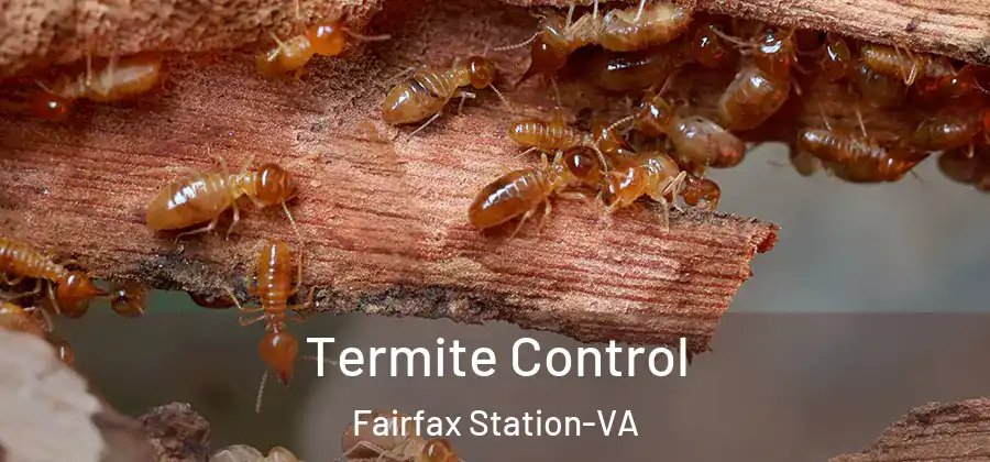 Termite Control Fairfax Station-VA