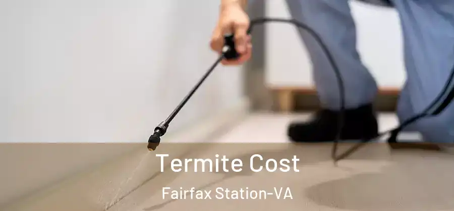 Termite Cost Fairfax Station-VA