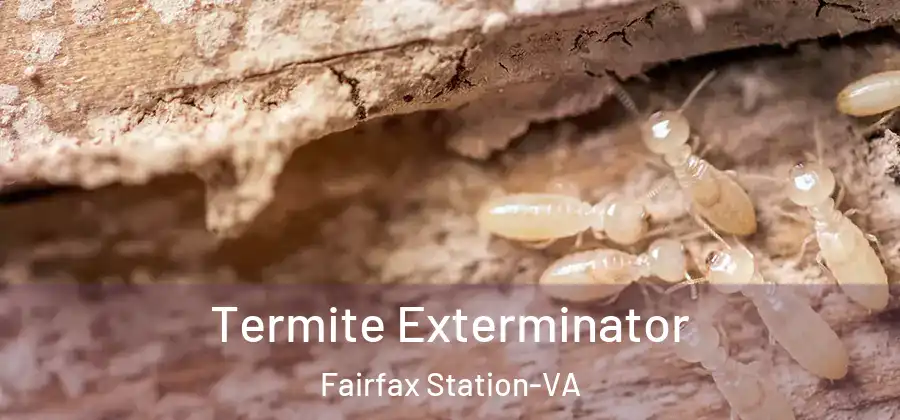 Termite Exterminator Fairfax Station-VA