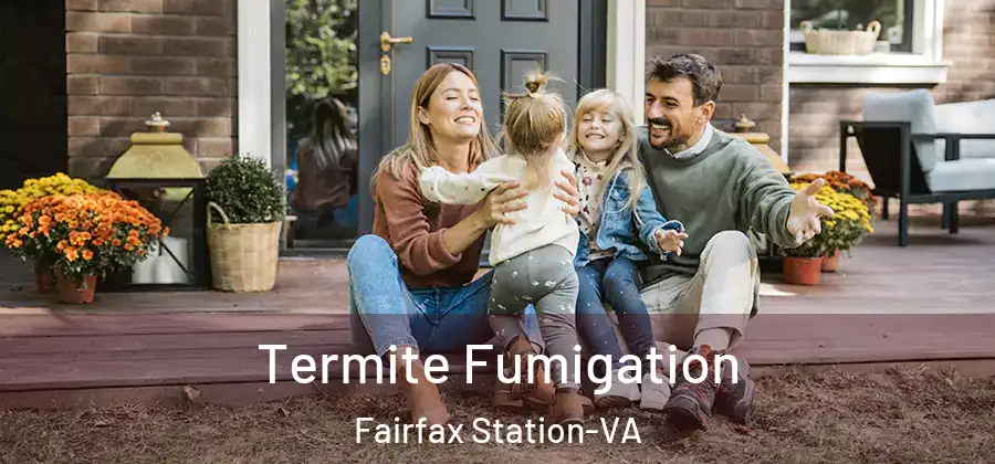 Termite Fumigation Fairfax Station-VA