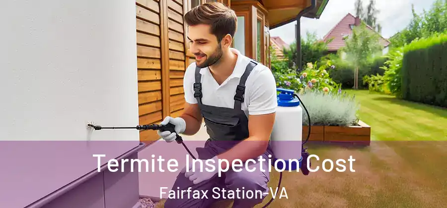 Termite Inspection Cost Fairfax Station-VA