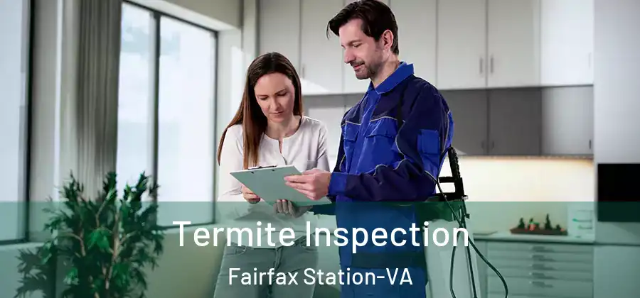 Termite Inspection Fairfax Station-VA