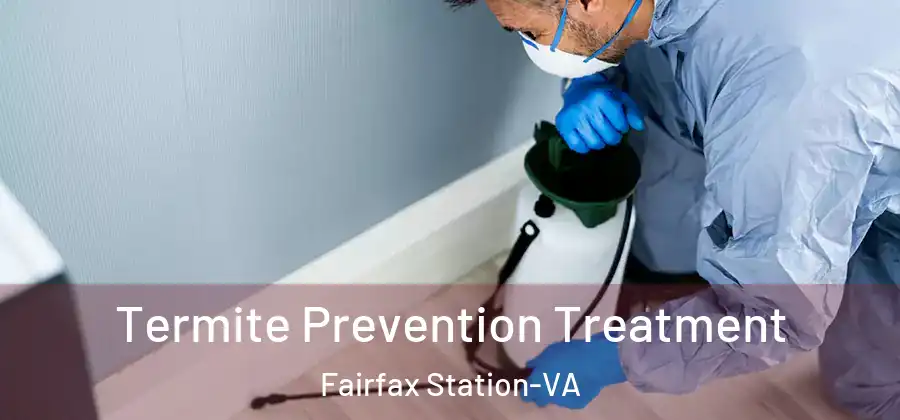  Termite Prevention Treatment Fairfax Station-VA