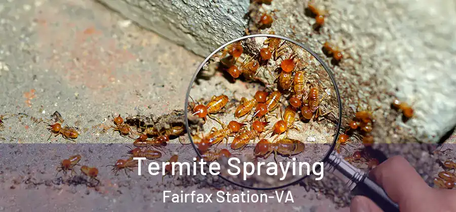 Termite Spraying Fairfax Station-VA