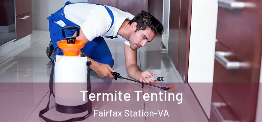 Termite Tenting Fairfax Station-VA