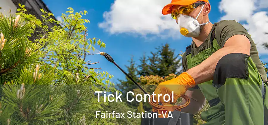 Tick Control Fairfax Station-VA