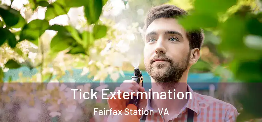 Tick Extermination Fairfax Station-VA