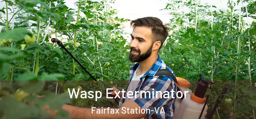 Wasp Exterminator Fairfax Station-VA