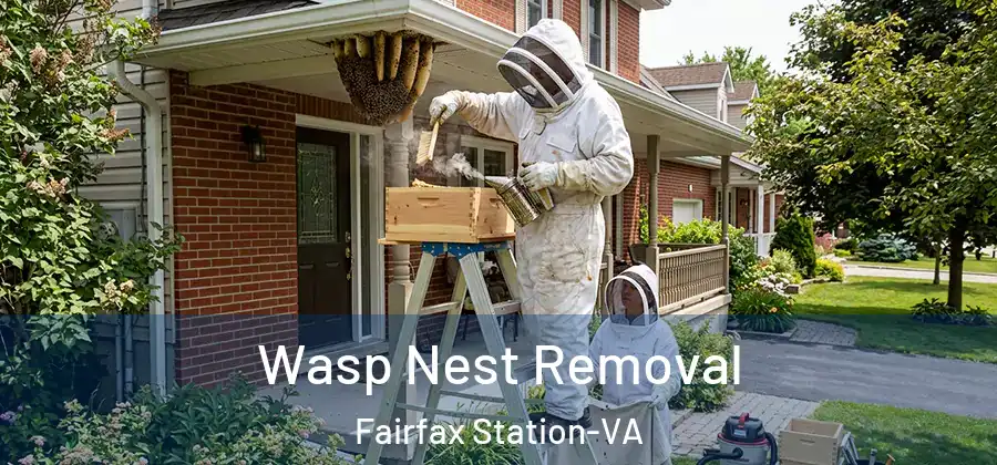 Wasp Nest Removal Fairfax Station-VA