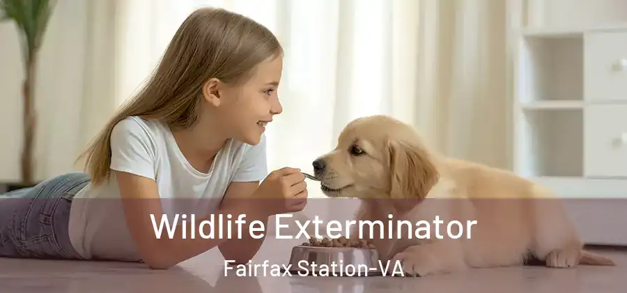Wildlife Exterminator Fairfax Station-VA