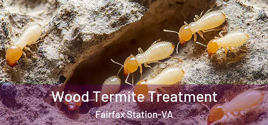 Wood Termite Treatment Fairfax Station-VA