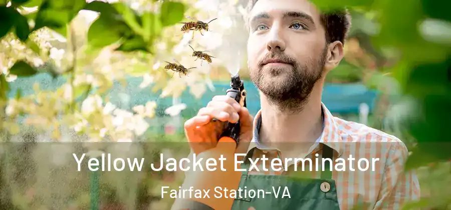  Yellow Jacket Exterminator Fairfax Station-VA